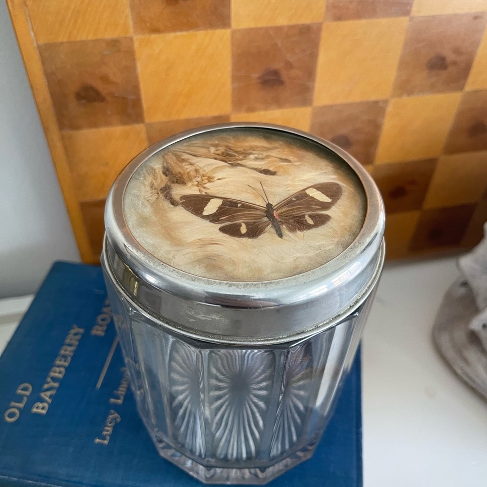 Antique Victorian Cut Glass Humidor Jar With Preserved Butterfly Lid